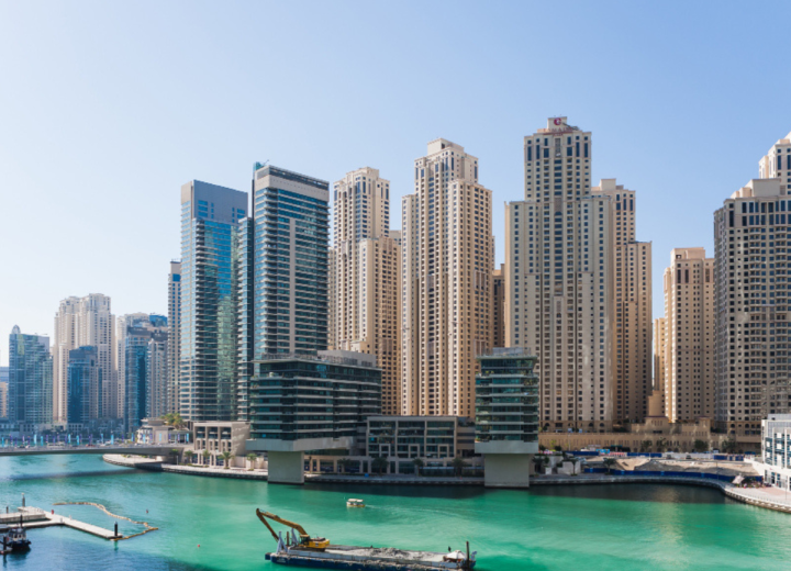 DMCC Freezone Company Formation