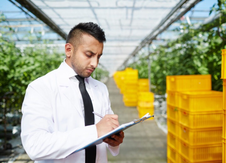 Food stuff trading license Dubai