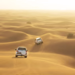 Desert Safari Business