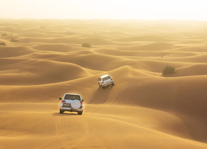 Desert Safari Business